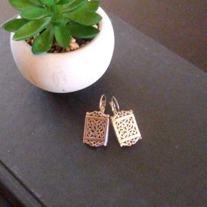 Beautiful silver earrings